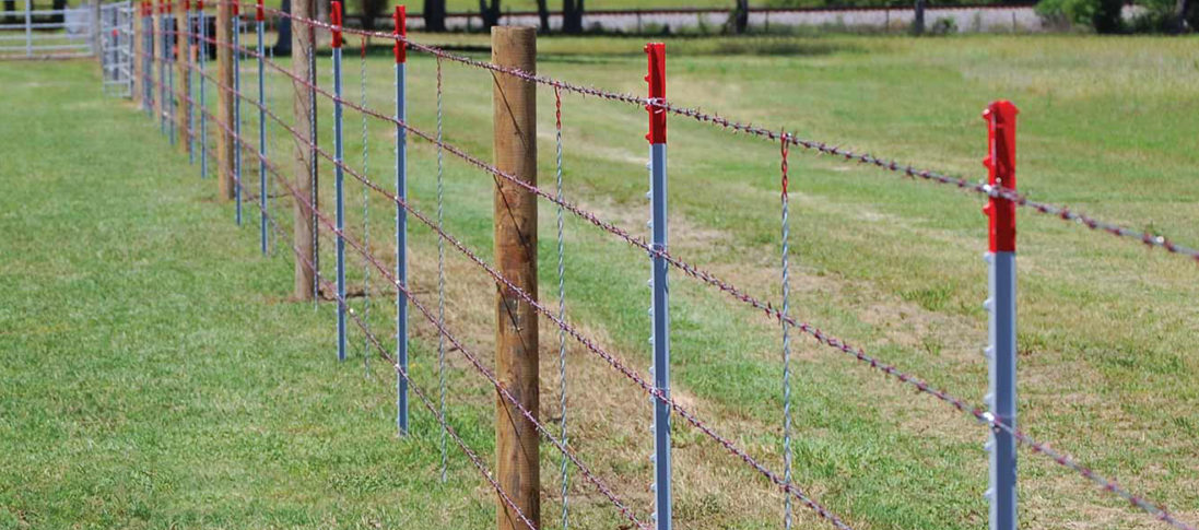 Fence